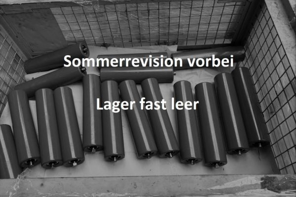 Tragrollen in einer Gitterbox